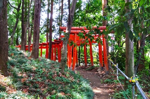 鳥居が並ぶ参道の風景