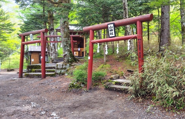 2つの鳥居が並ぶ風景