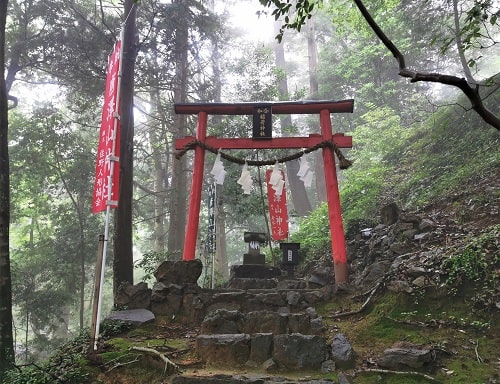 階段上の赤い鳥居と稲荷神社の風景