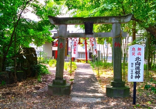 奥に境内社がある風景