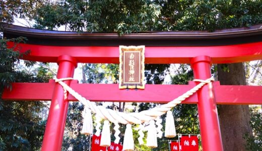 鶴ヶ島「白鬚神社」の御朱印情報！御神木頑張っております