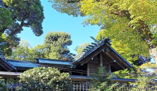 「所澤神明社」御朱印は2種類！武蔵国の「お伊勢さま」は日本の航空発祥の地
