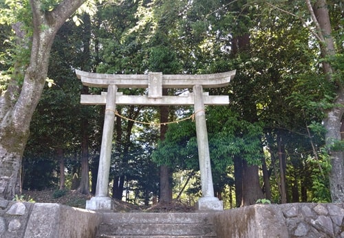裏手にある鳥居正面の風景
