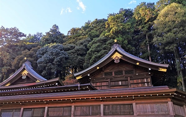 高麗神社の本殿横からの風景