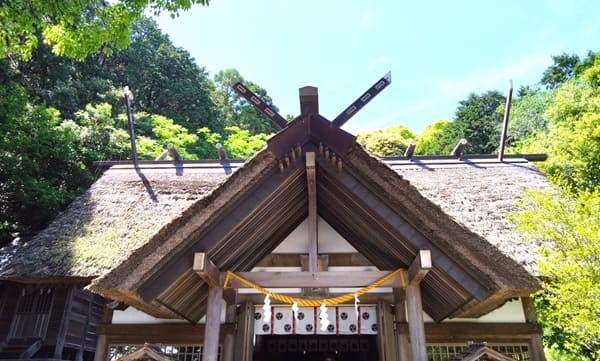 茅葺き屋根の社殿の風景