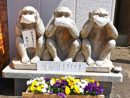 3匹の猿が並ぶ様子