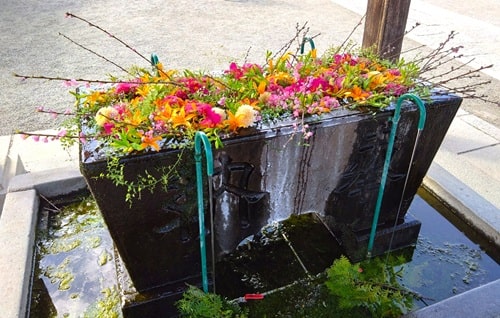 綺麗な花手水の様子