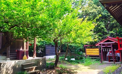 天神社と稲荷社がある風景