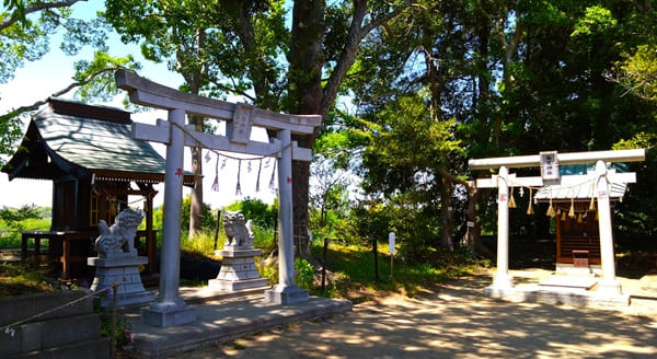 境内社と御神木が並ぶ風景
