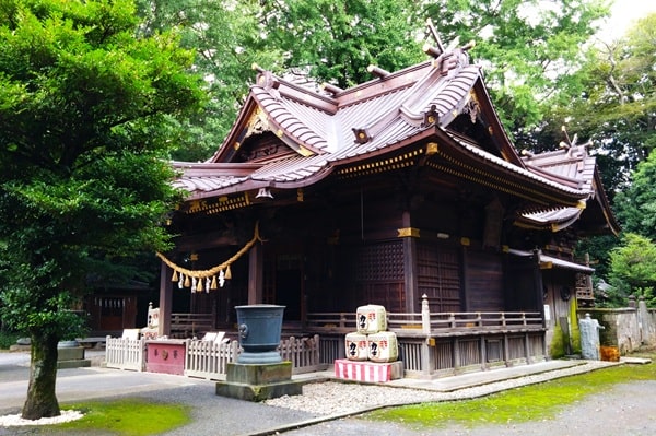 社殿斜め前からの風景