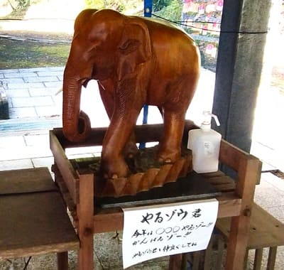 木彫りのゾウさん