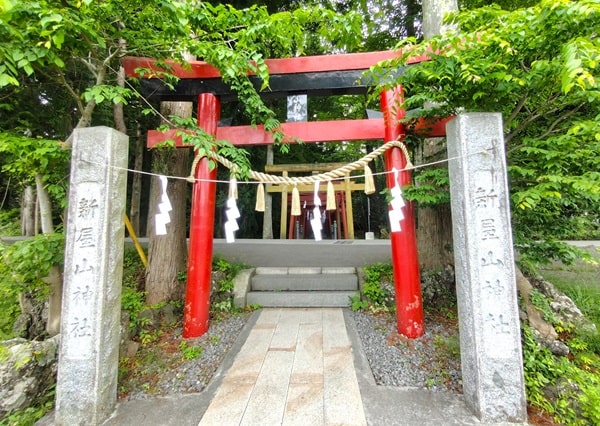 境内入り口となる鳥居正面の風景