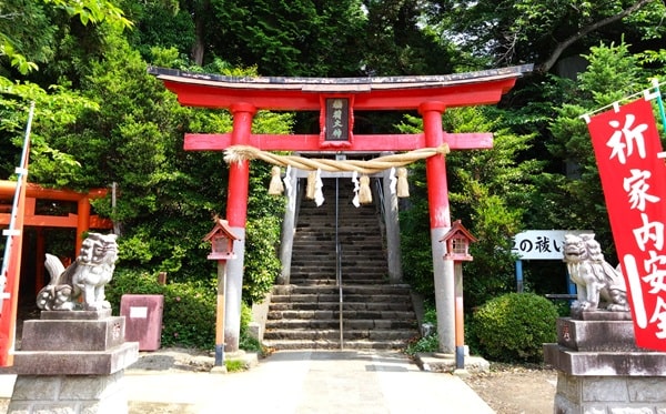 朱塗りの鳥居正面の風景