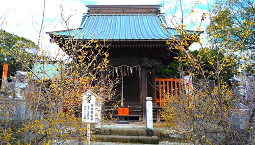 奥宮正面の風景