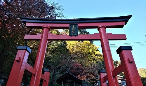 金櫻神社の一の鳥居正面の風景
