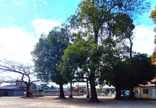 牡丹苑入り口の風景