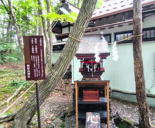 夫婦木社と2本の木の風景