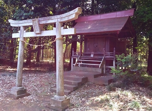 氷川神社鳥居からの風景