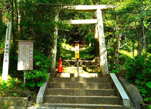 諾冉神社の鳥居正面の風景