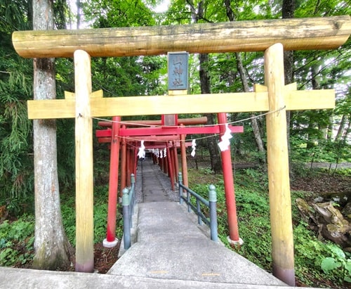 ずらりと並ぶ鳥居の風景